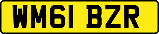 WM61BZR