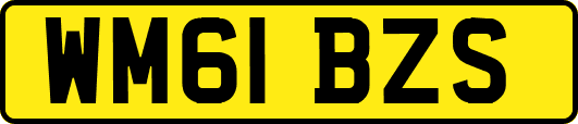 WM61BZS