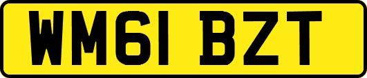 WM61BZT