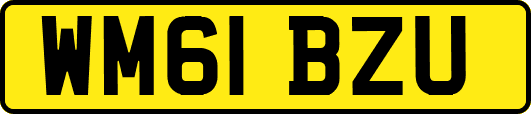 WM61BZU