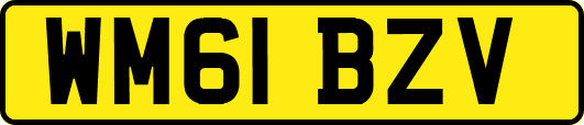 WM61BZV