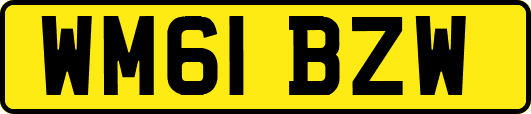WM61BZW
