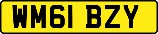 WM61BZY