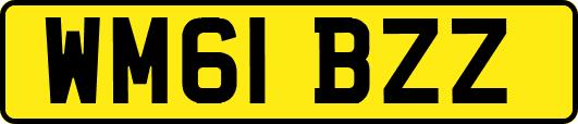 WM61BZZ