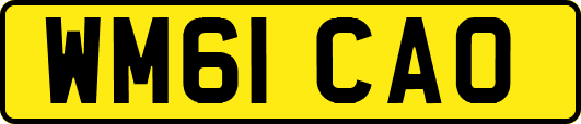 WM61CAO