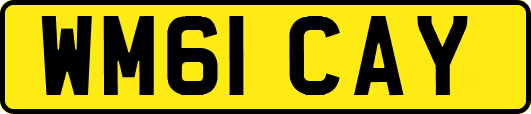 WM61CAY