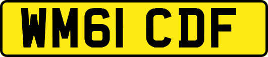 WM61CDF