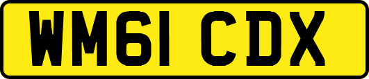 WM61CDX