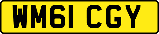 WM61CGY