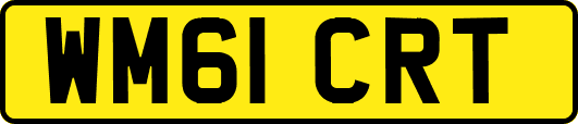 WM61CRT