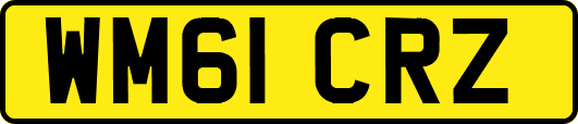 WM61CRZ