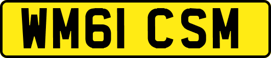 WM61CSM