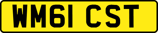 WM61CST