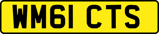 WM61CTS