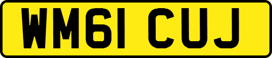 WM61CUJ