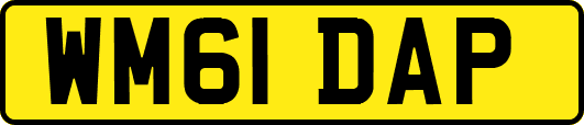 WM61DAP