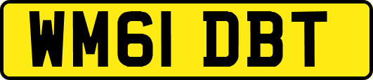 WM61DBT