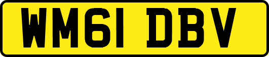 WM61DBV