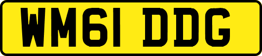 WM61DDG