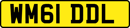 WM61DDL