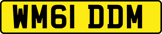WM61DDM