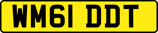 WM61DDT