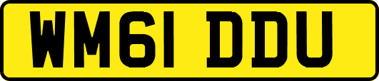 WM61DDU