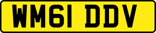 WM61DDV