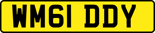 WM61DDY