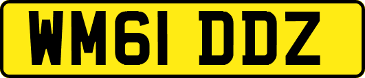 WM61DDZ