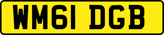 WM61DGB