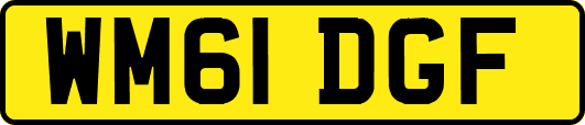 WM61DGF