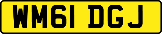 WM61DGJ