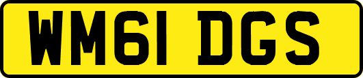 WM61DGS