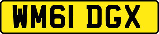 WM61DGX