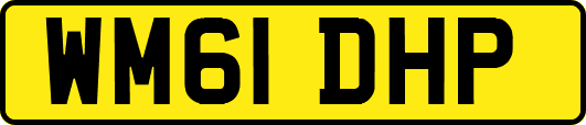 WM61DHP