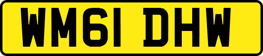 WM61DHW