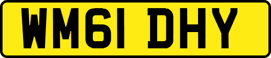 WM61DHY