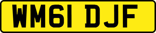 WM61DJF