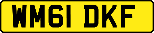 WM61DKF