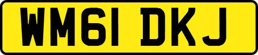 WM61DKJ