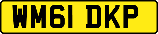 WM61DKP
