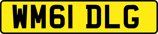 WM61DLG