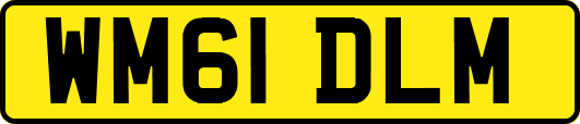 WM61DLM