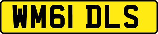 WM61DLS
