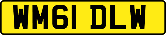 WM61DLW