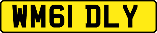 WM61DLY