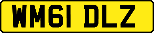 WM61DLZ