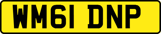 WM61DNP