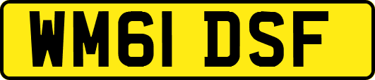 WM61DSF